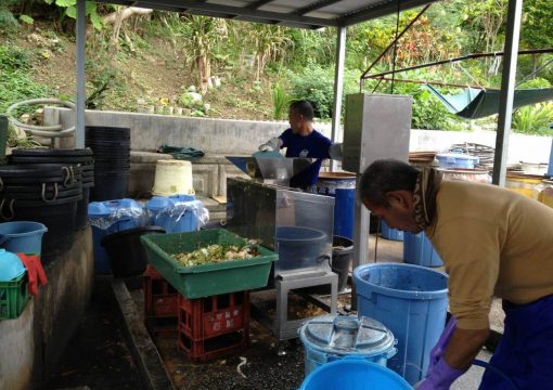 House of Hope, NPO group with the help of people with disabilities, recycling organic wastes